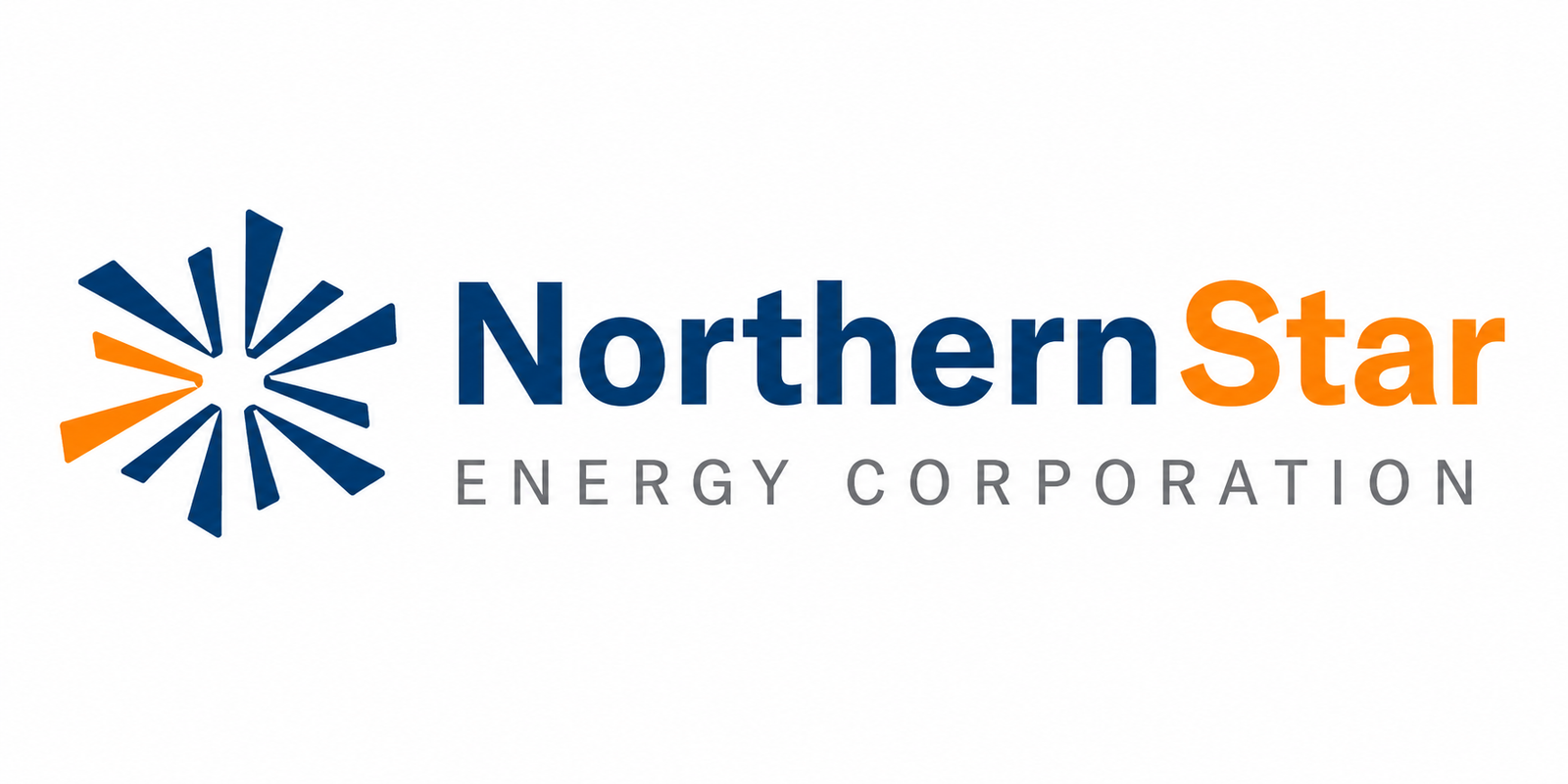 NorthernStar logo